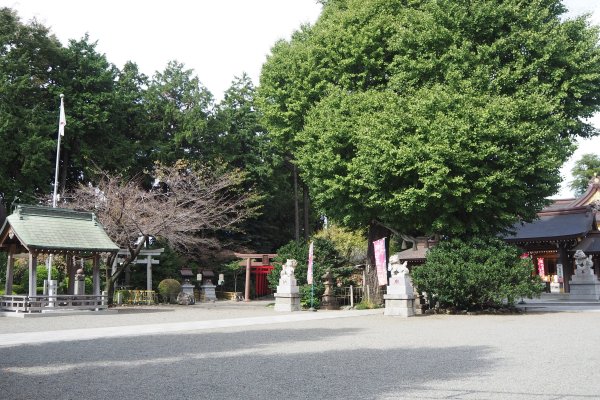 相模原市内の魅力を再発見！新年に訪れたい初詣スポット～亀ヶ池八幡宮～