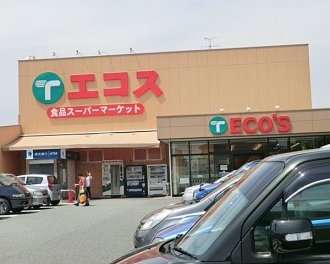 エコスTAIRAYA城山店