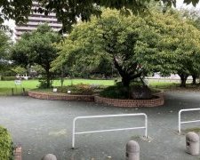 橋本公園