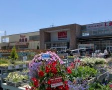 ロイヤルホームセンター相模原橋本店
