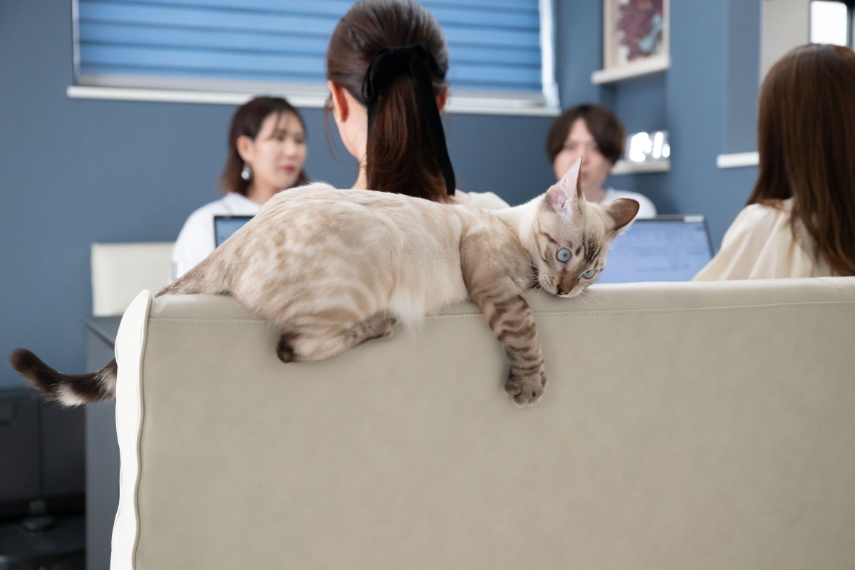 ■ 決め手は“標準仕様の充実”と“コストパフォーマンスの良さ”